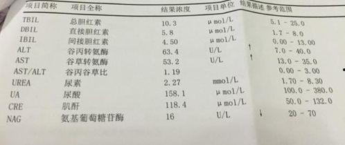 肝癌疑云：藏在体检单里的秘密,探寻健康背后的秘密